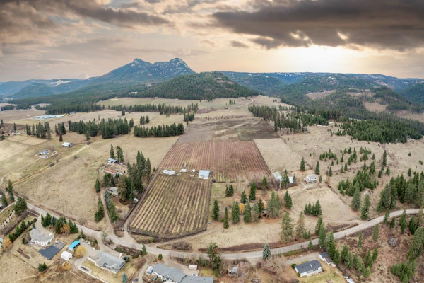 5570 Reid Road,, Coldstream