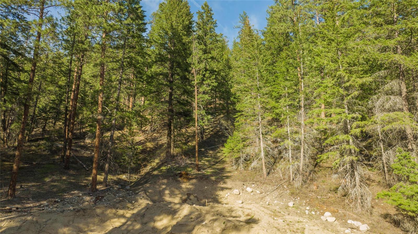 LOT B Trepanier Road