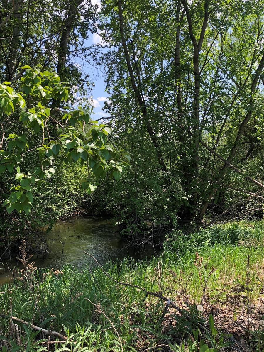 Listing 10275770 - Large Photo # 8