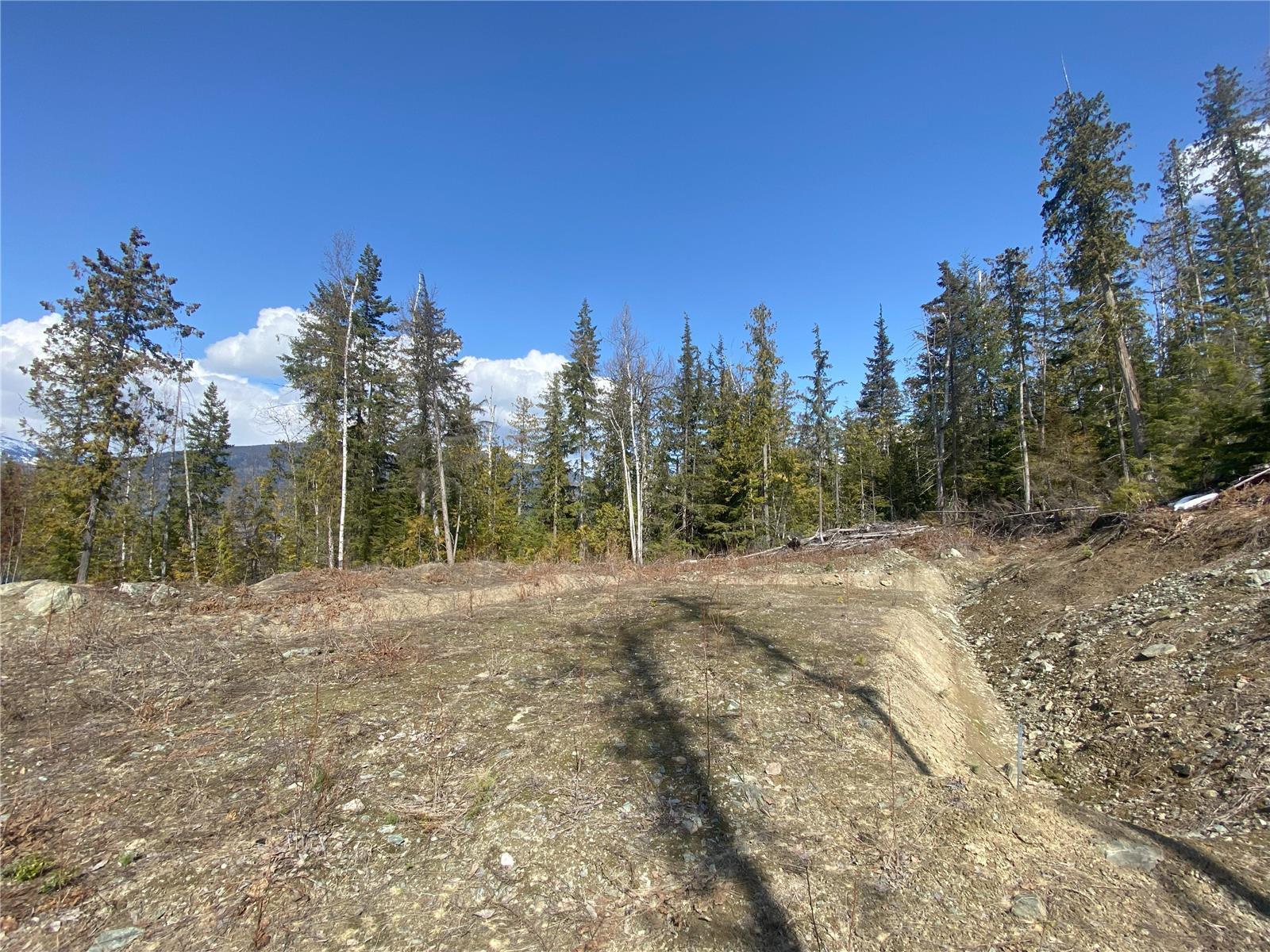 Listing 10276066 - Large Photo # 17