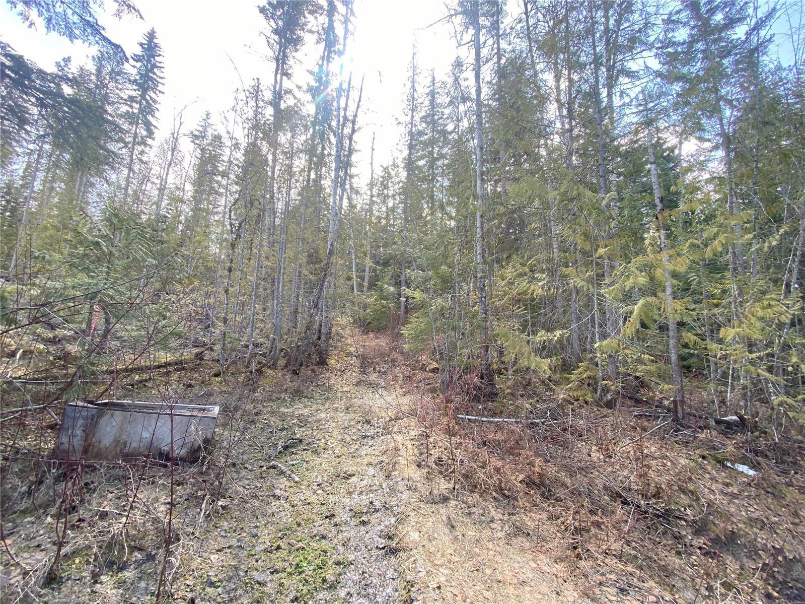 Listing 10276066 - Large Photo # 13