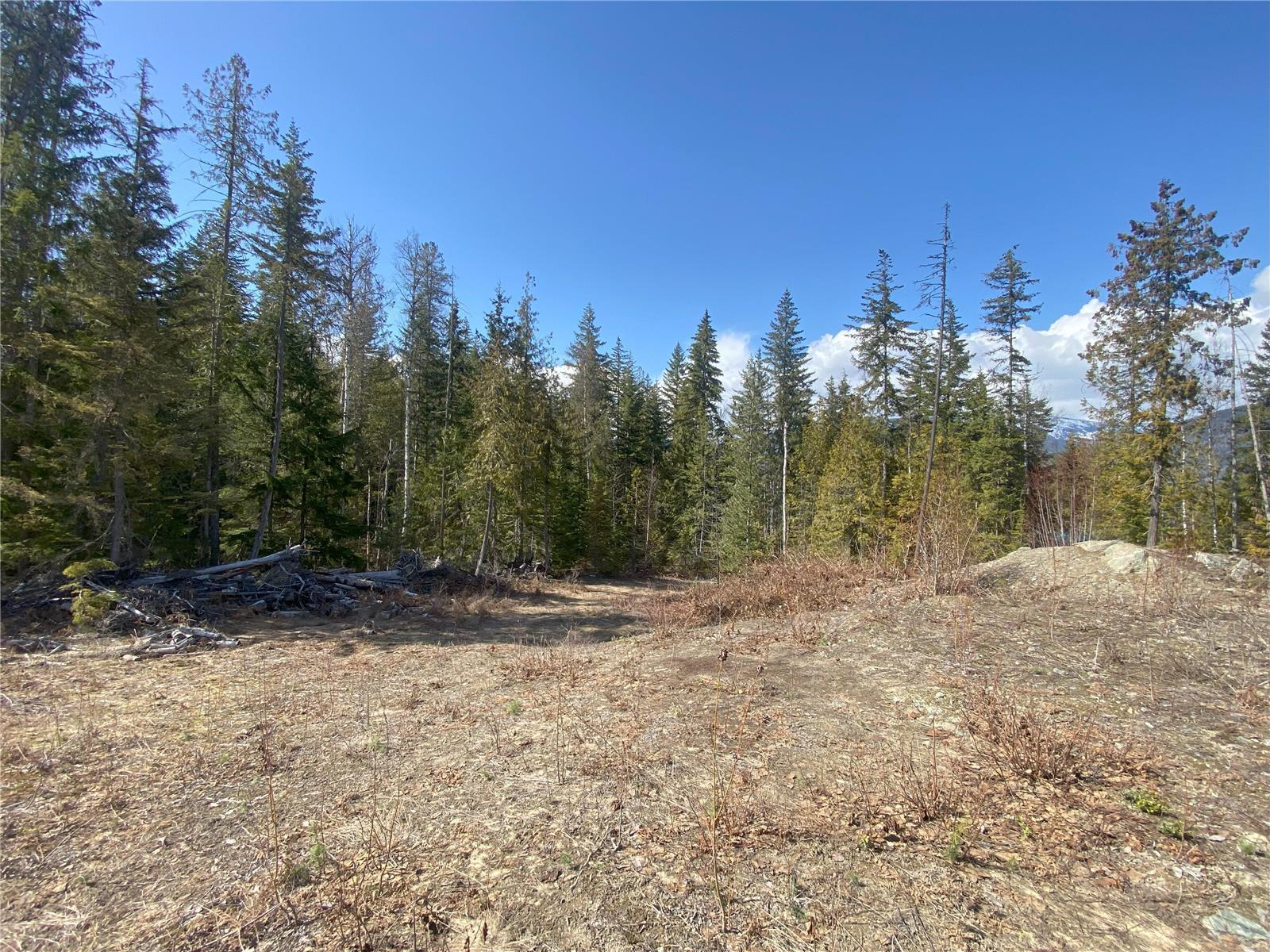 Listing 10276066 - Large Photo # 15