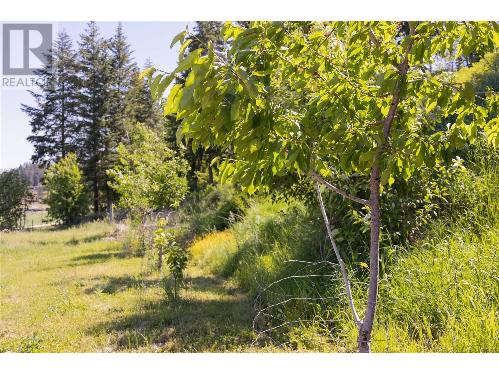 5165 Salmon River Road