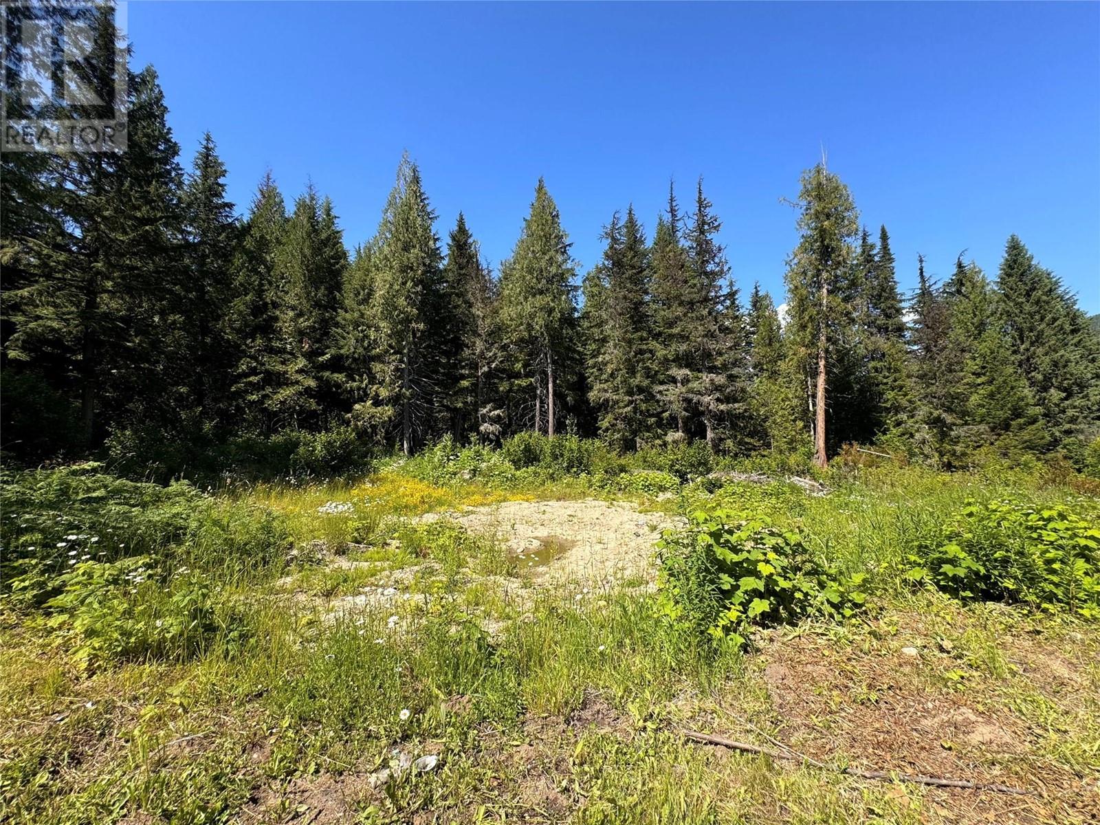 2410 Trinity Valley Road