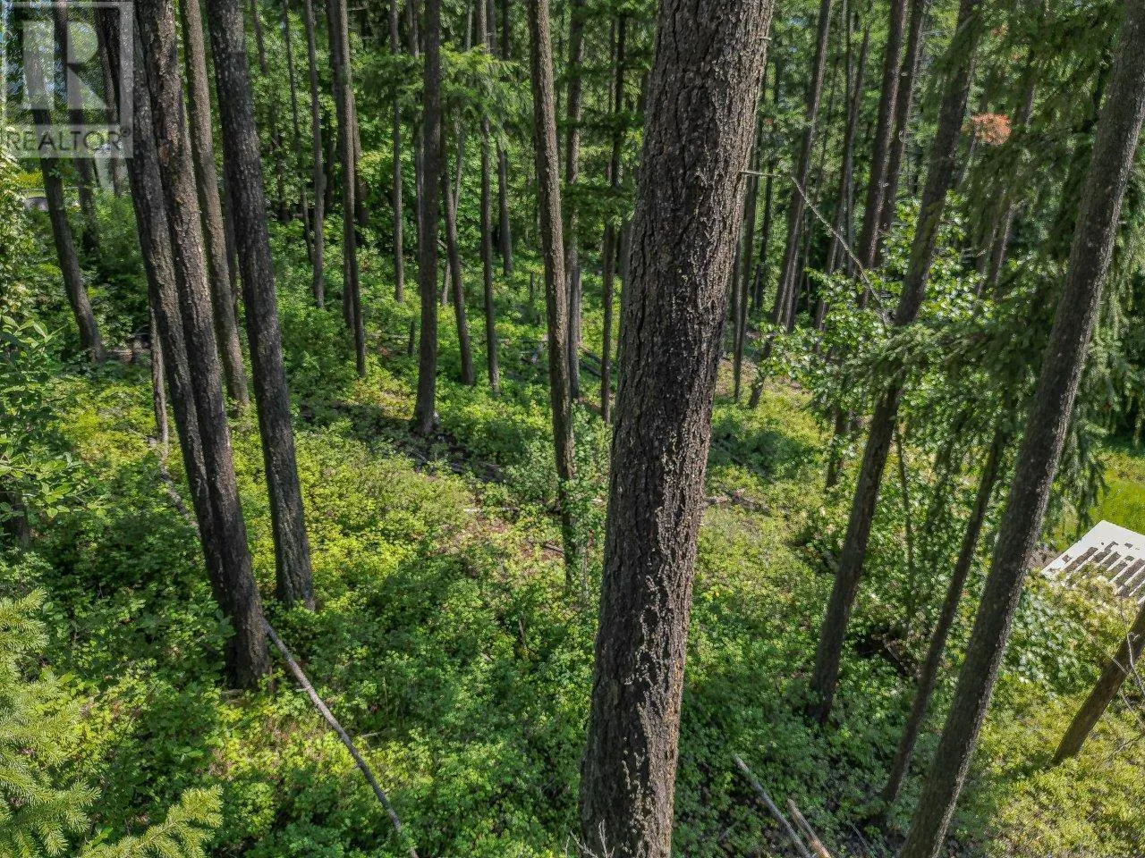 Lot 25 Forest View Place