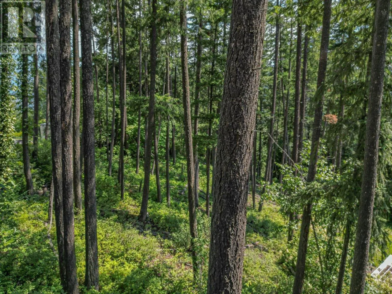 Lot 25 Forest View Place