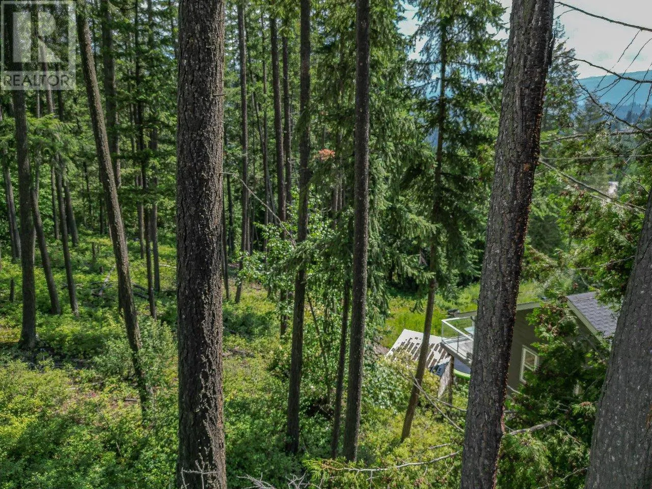 Lot 25 Forest View Place