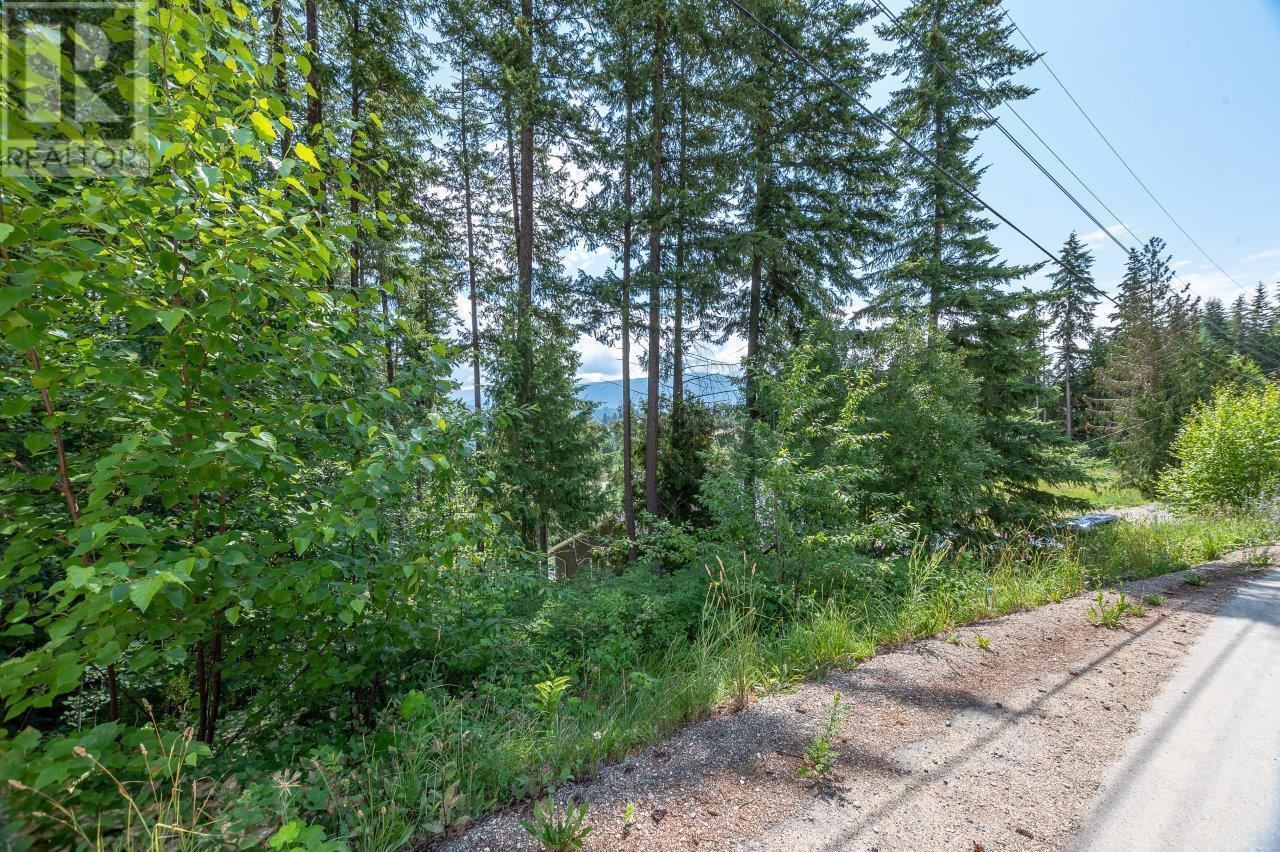 Lot 25 Forest View Place