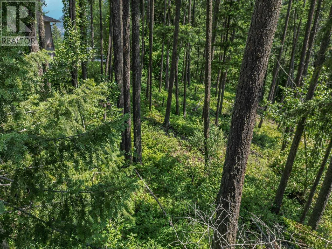 Lot 25 Forest View Place