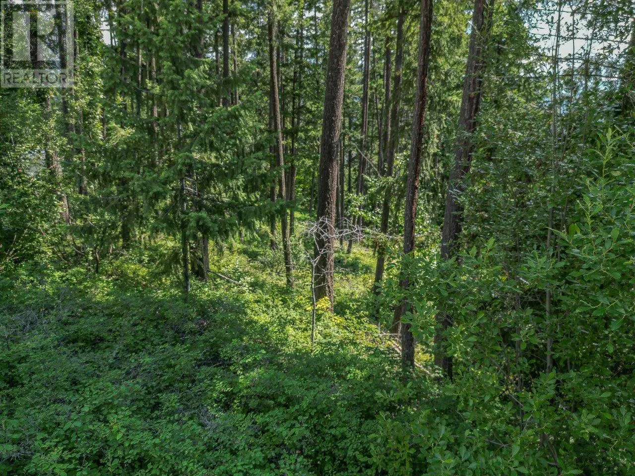 Lot 25 Forest View Place