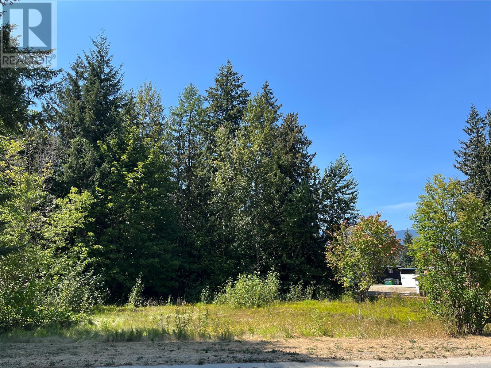 1126 Shuswap Avenue