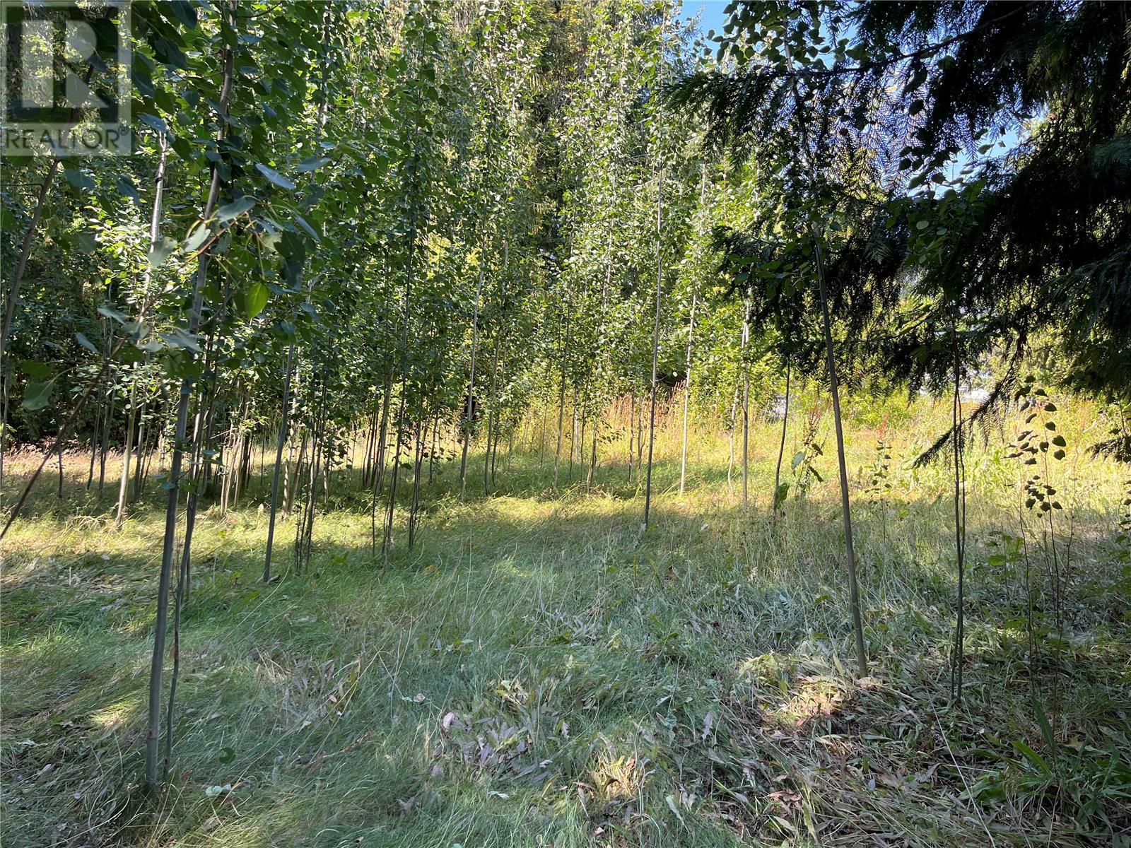1118 Shuswap Avenue