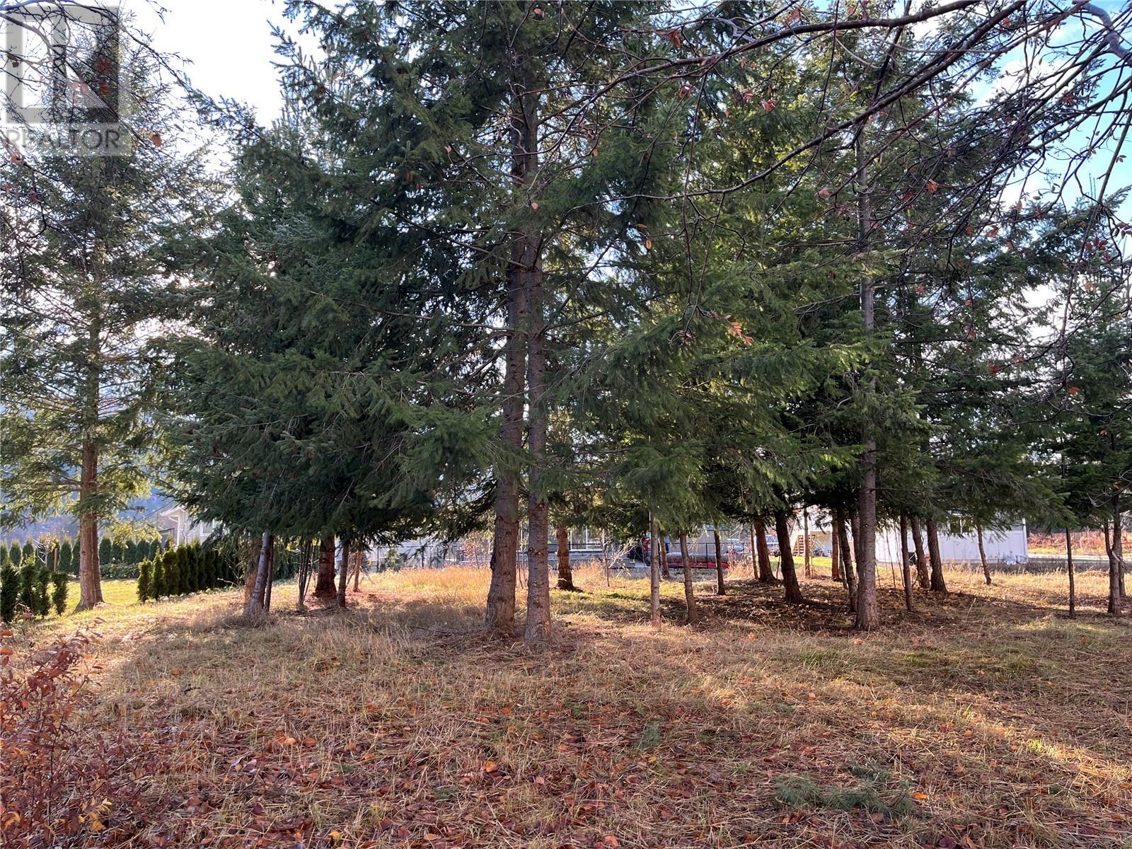 Lot A Parksville Street