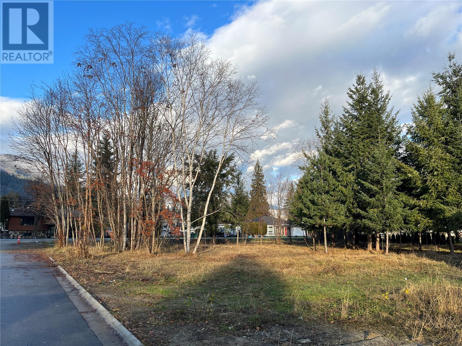Lot B Parksville Street