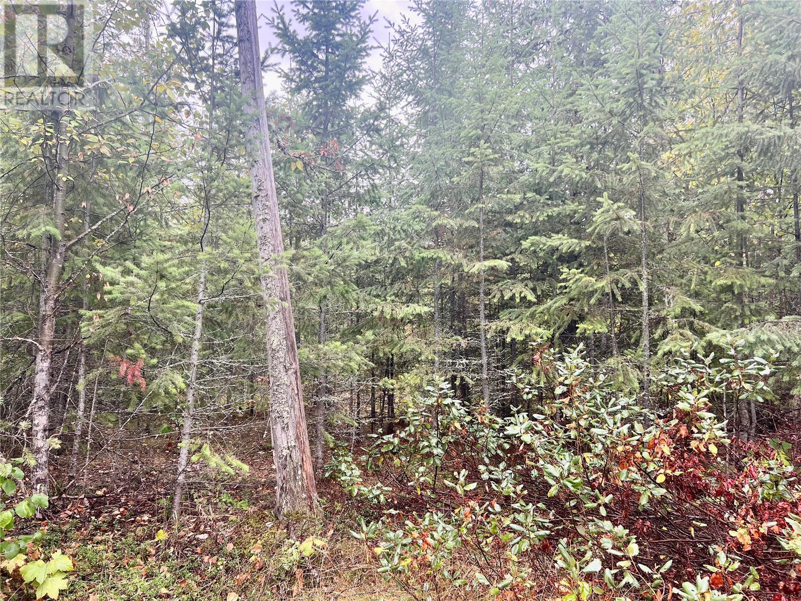 3468 Mabel Lake Place
