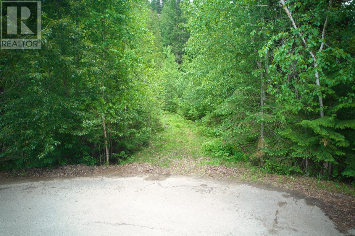 Lot 101 Mount Dale Place