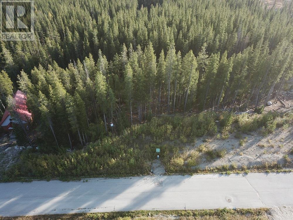 LOT 21 Buck Road