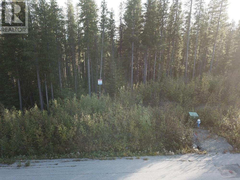 LOT 21 Buck Road