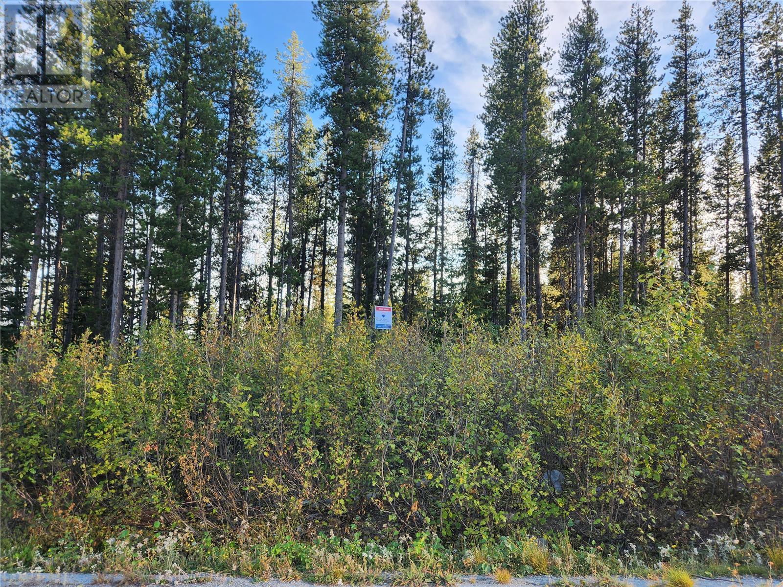 LOT 21 Buck Road