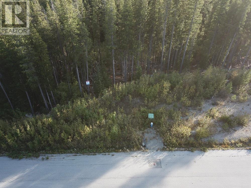 LOT 21 Buck Road