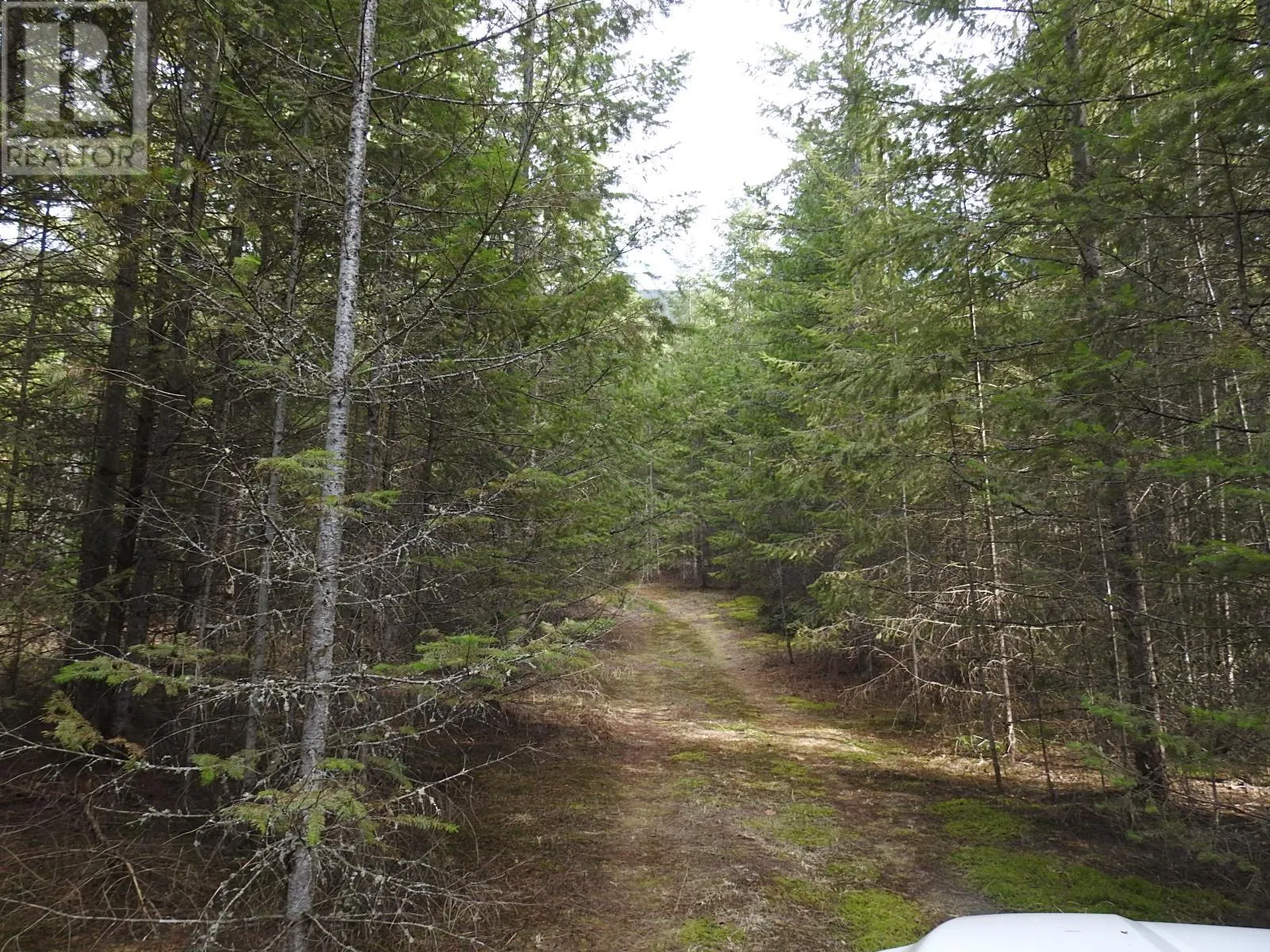 50 East Poirier Road