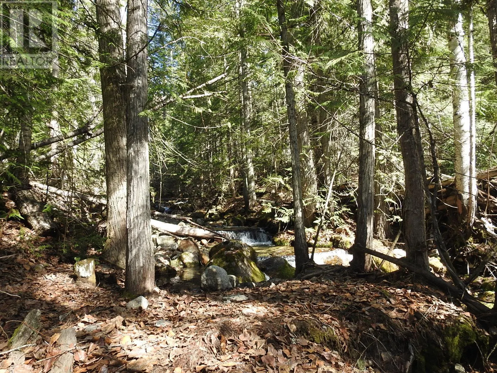 50 East Poirier Road