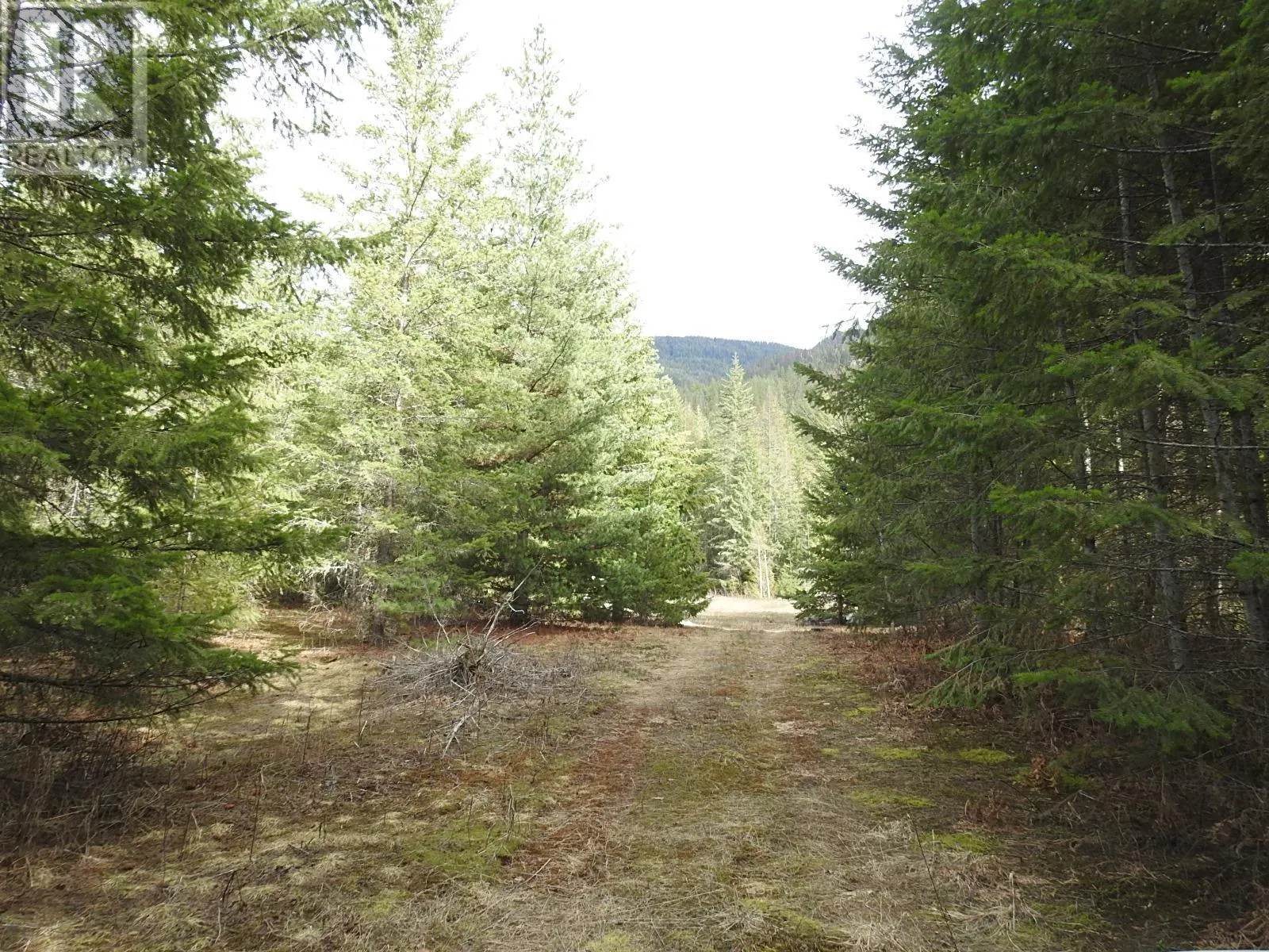 50 East Poirier Road