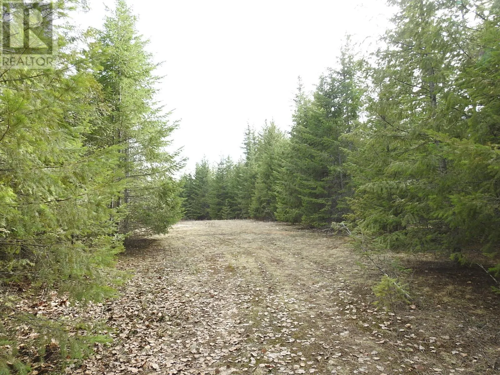 50 East Poirier Road