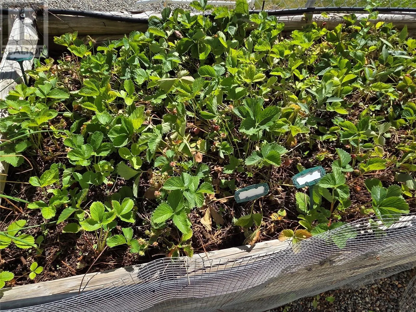 3455 Highway 3 Unit# 4