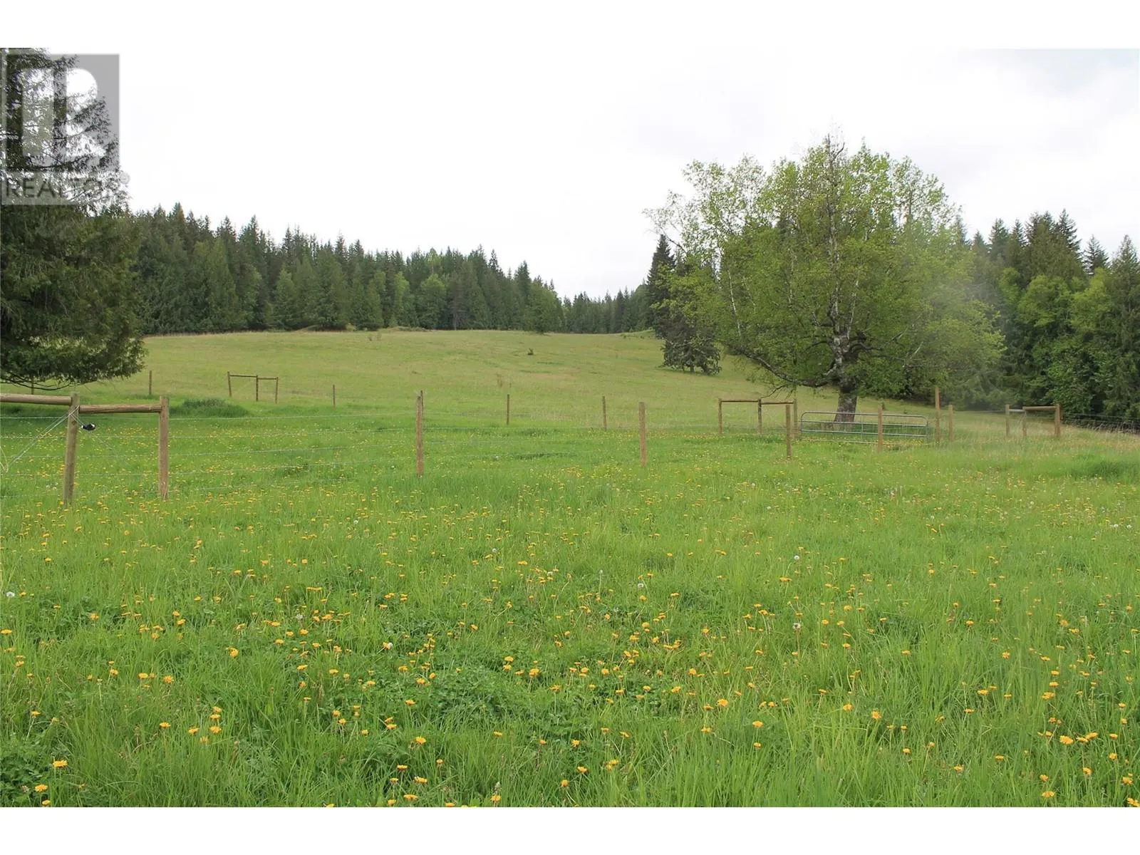 2301 Lumby Mabel Lake Road Lot# 1