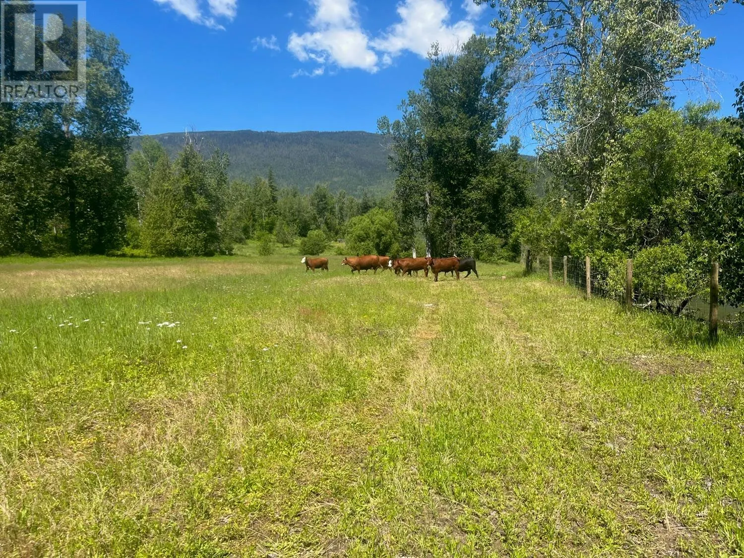 2736 Enderby Mabel Lake Road