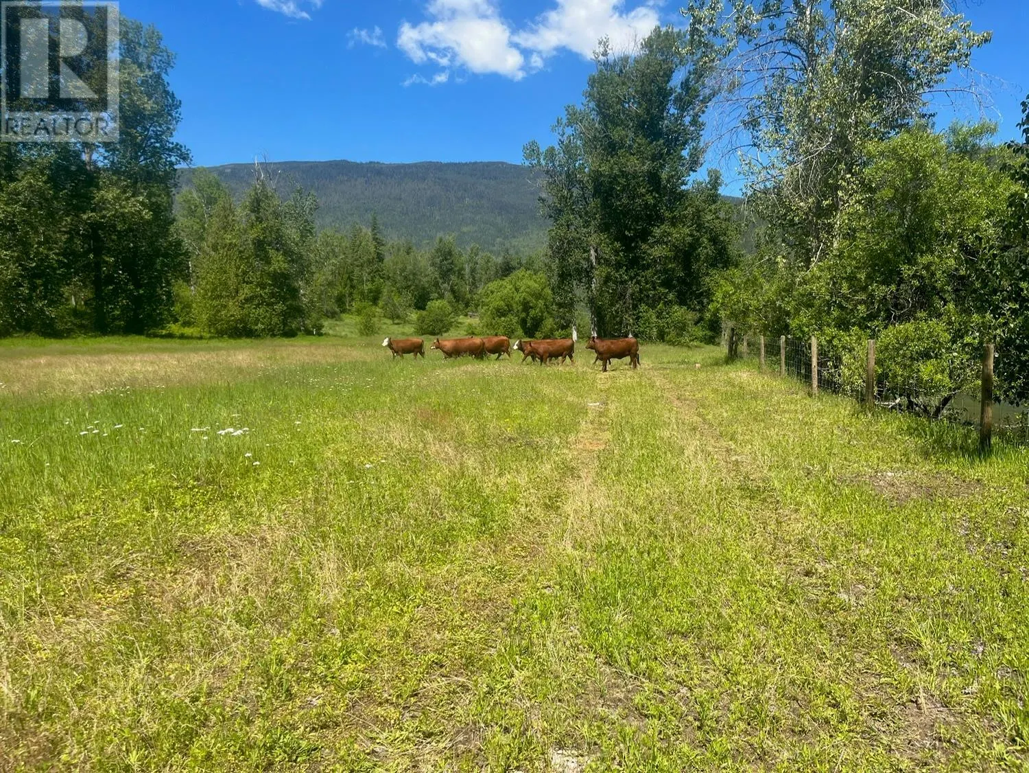 2736 Enderby Mabel Lake Road