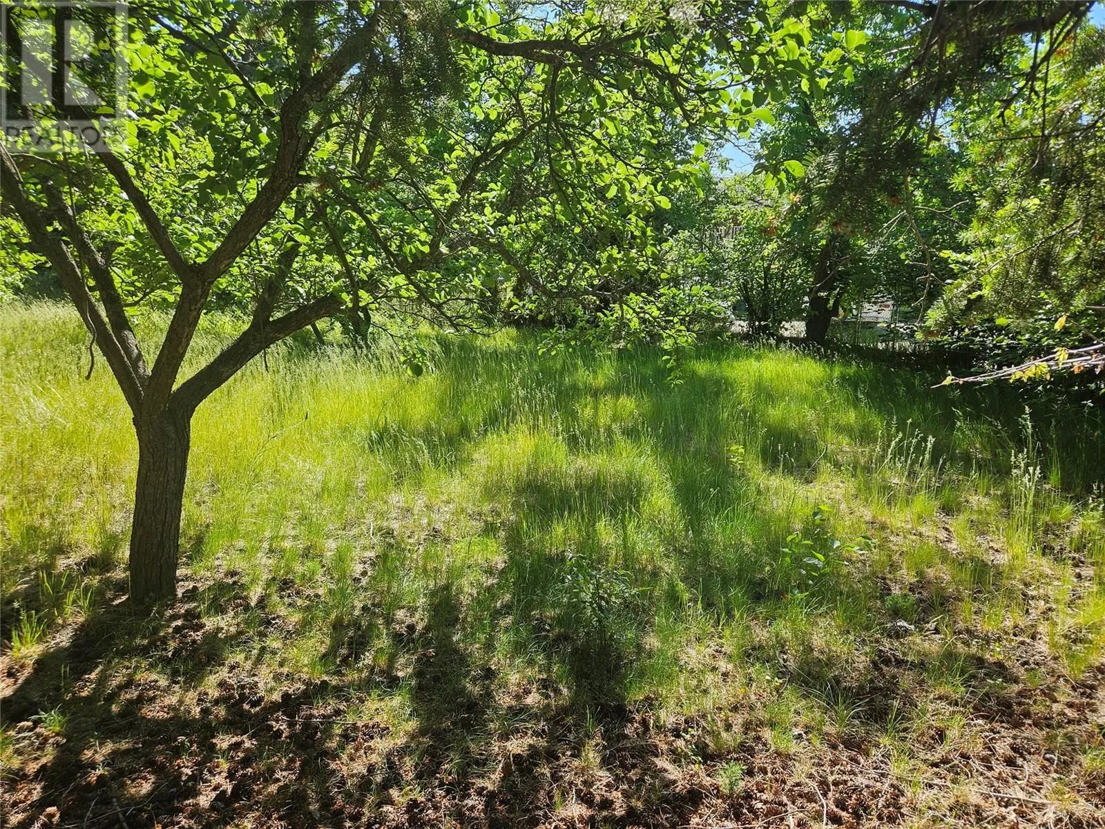 305 & 295 Clarissa Road