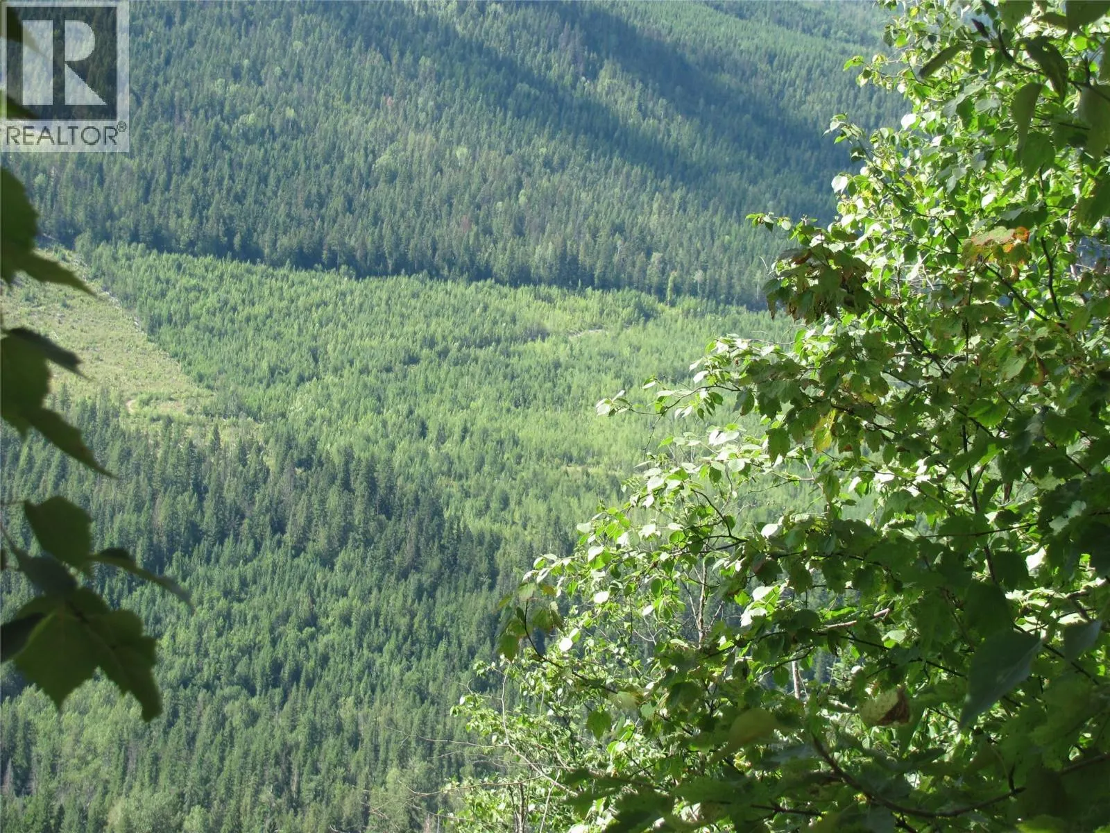130  Acres Sugar Lake-Sihlis FSR Road