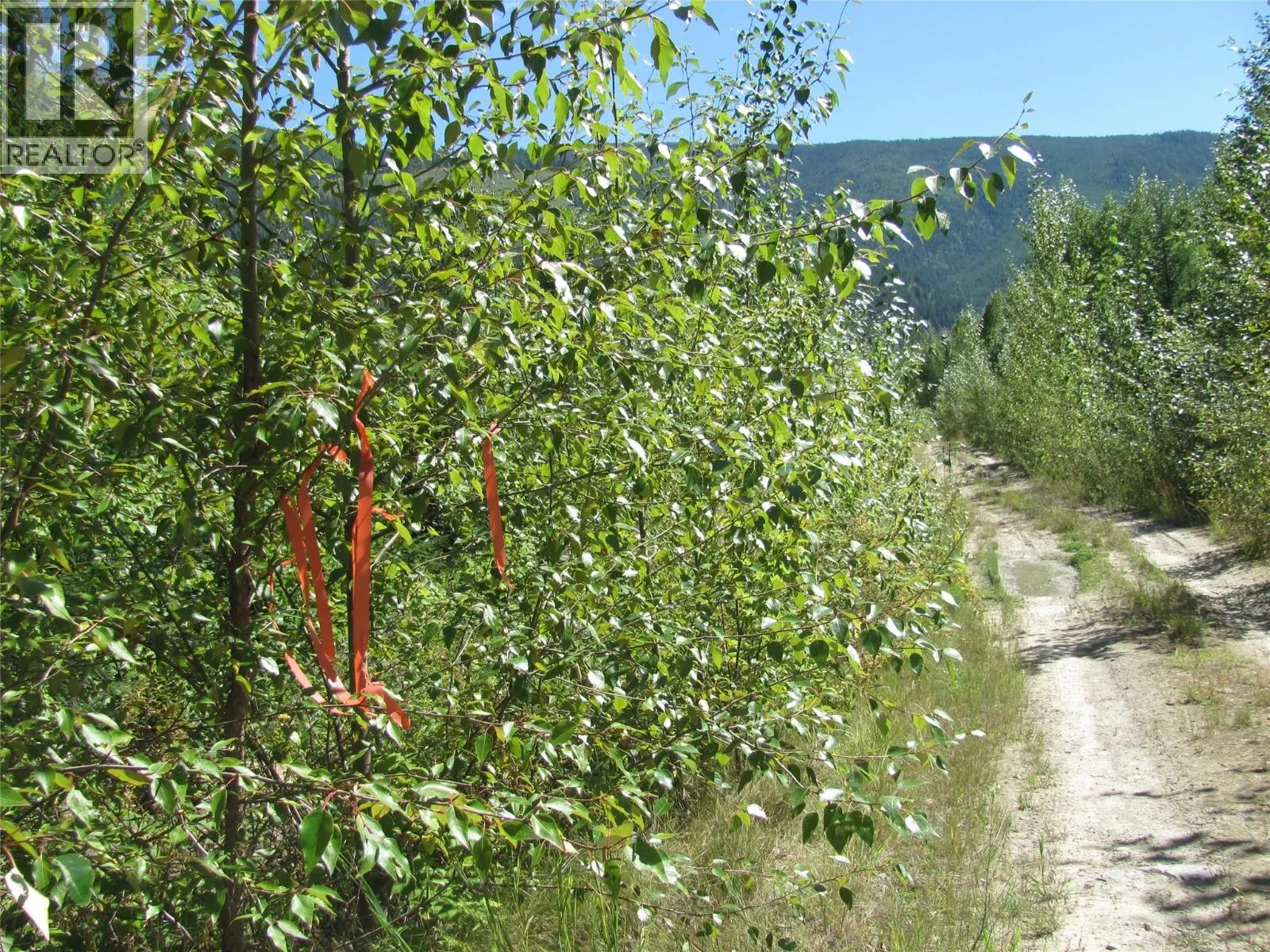 130  Acres Sugar Lake-Sihlis FSR Road