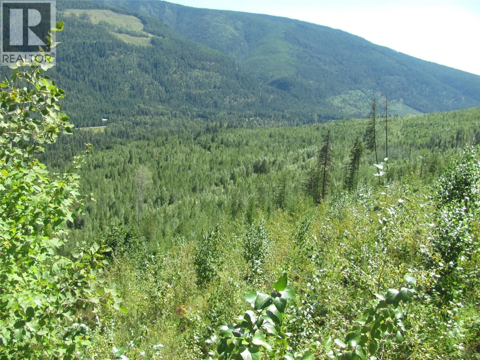 130  Acres Sugar Lake-Sihlis FSR Road