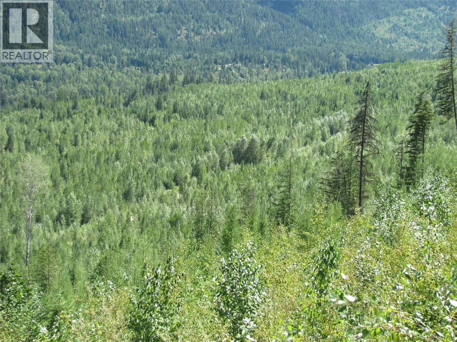 130  Acres Sugar Lake-Sihlis FSR Road