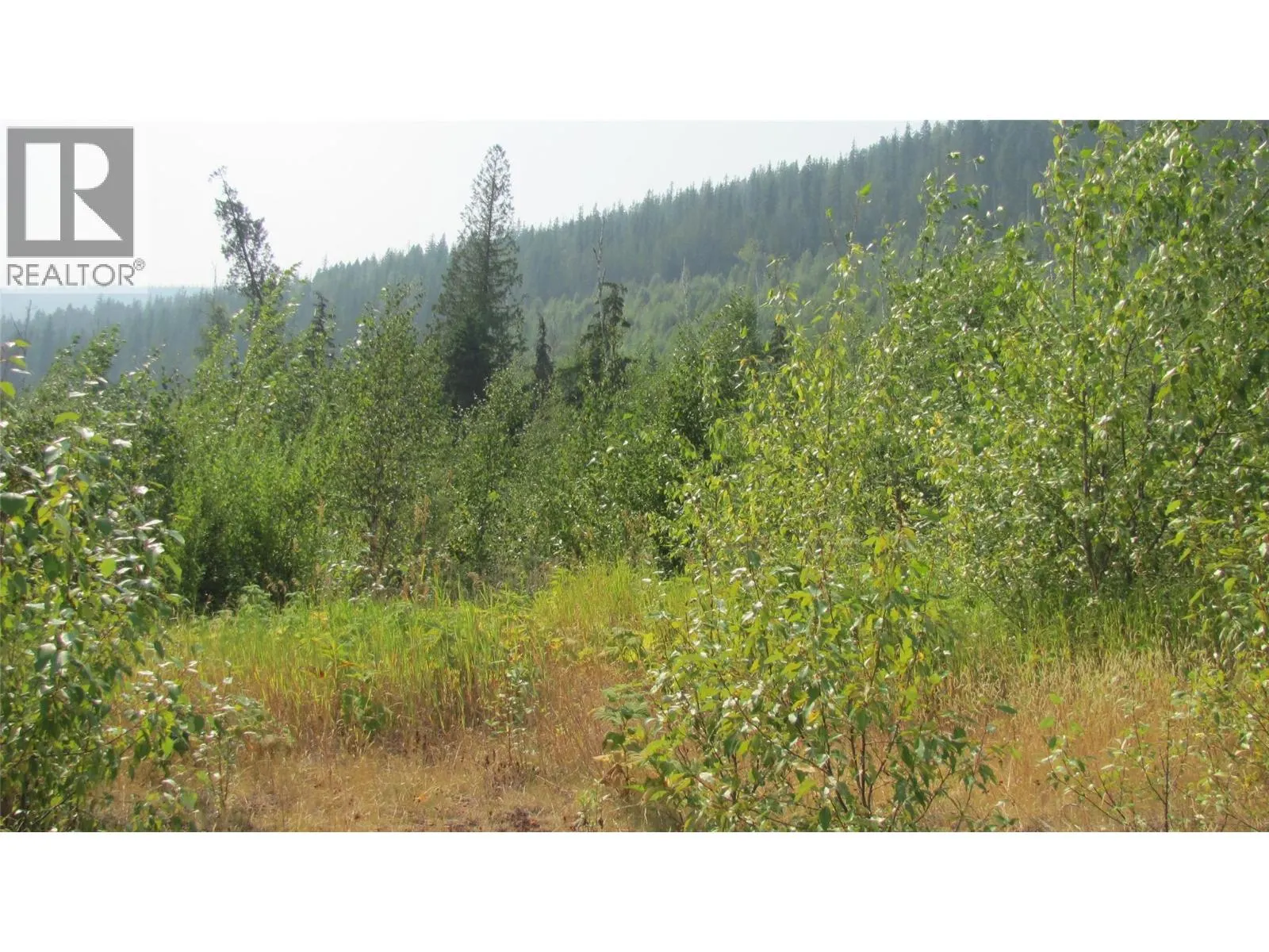 130  Acres Sugar Lake-Sihlis FSR Road