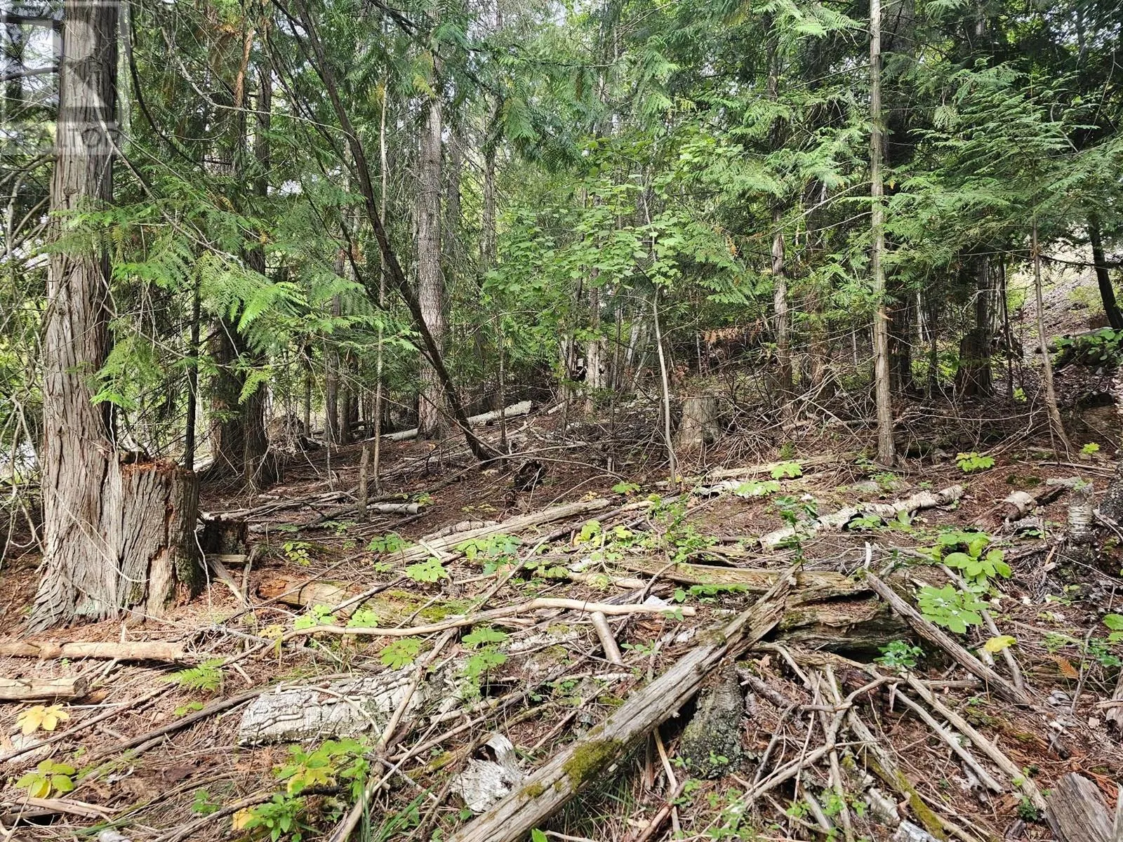 Lot 389 Anglemont Way