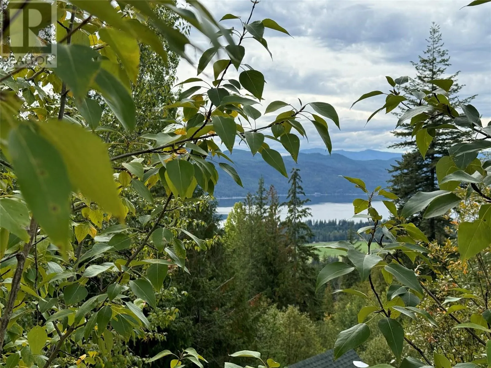 Lot 389 Anglemont Way