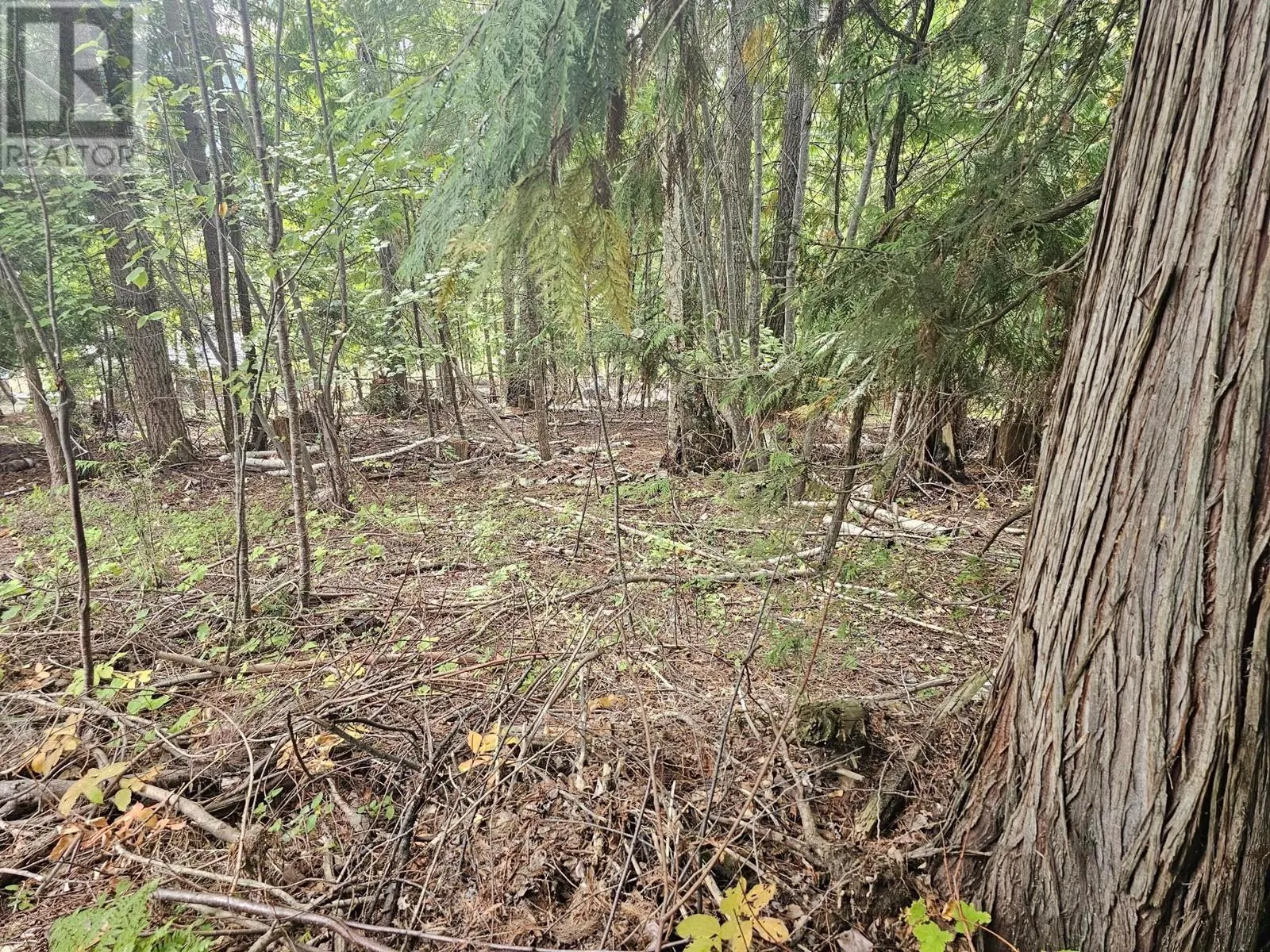 Lot 389 Anglemont Way