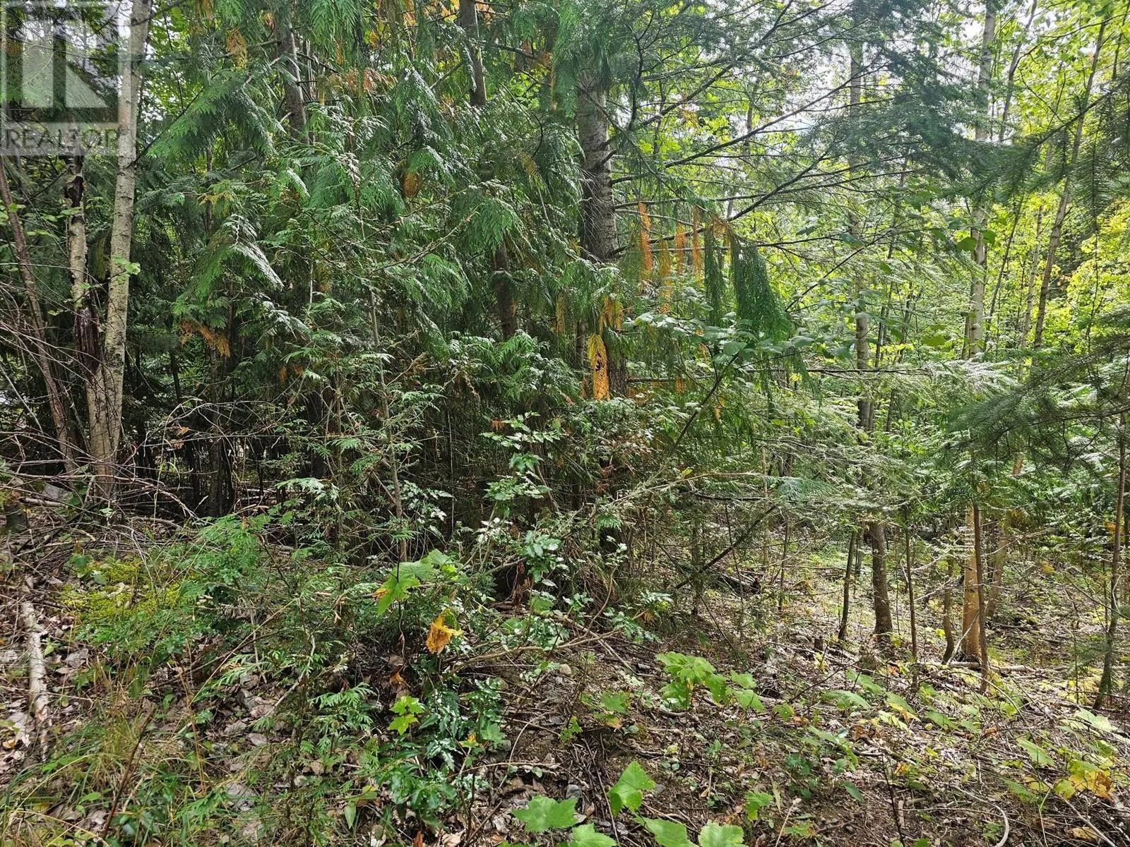 Lot 389 Anglemont Way