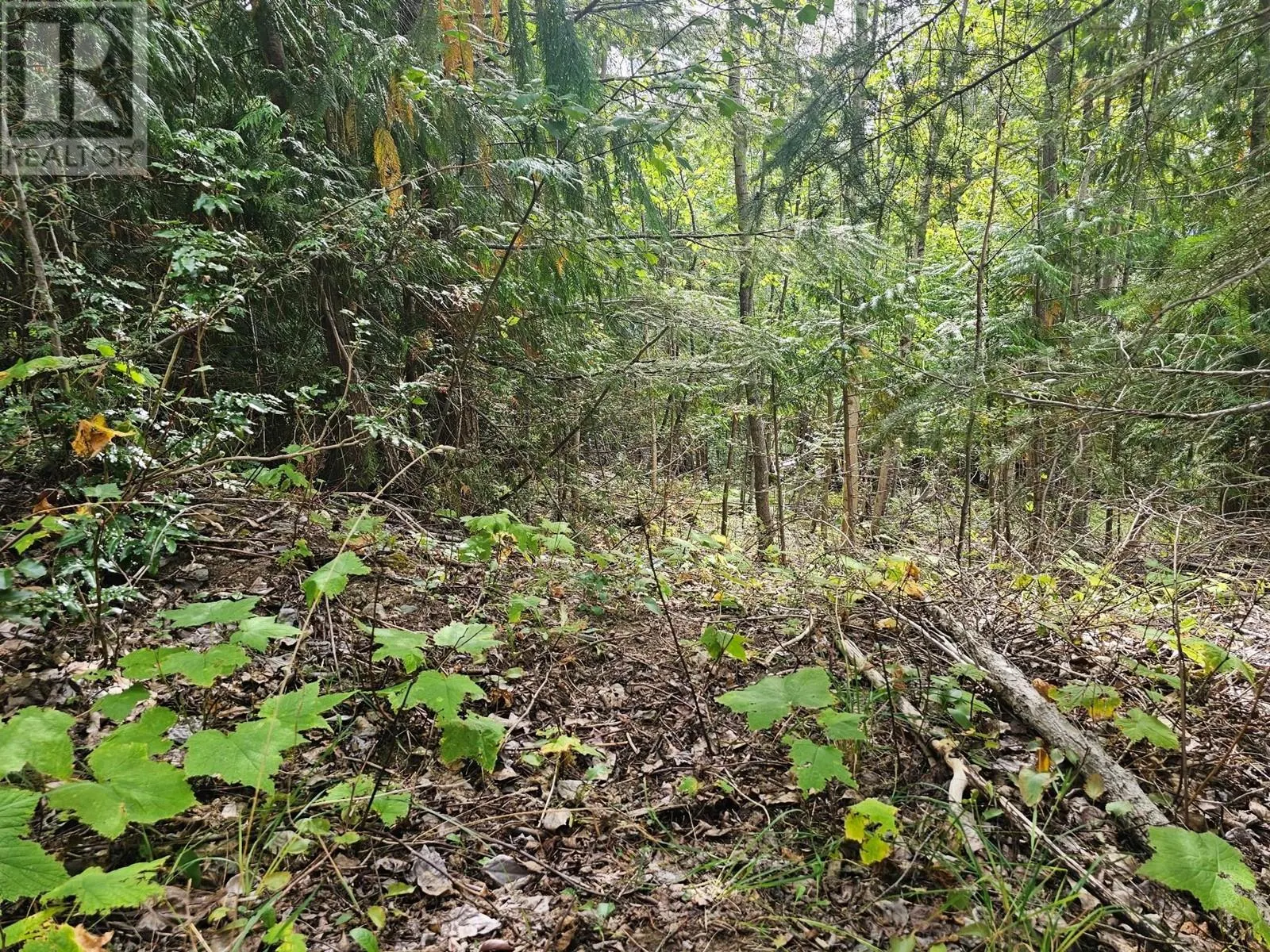 Lot 389 Anglemont Way