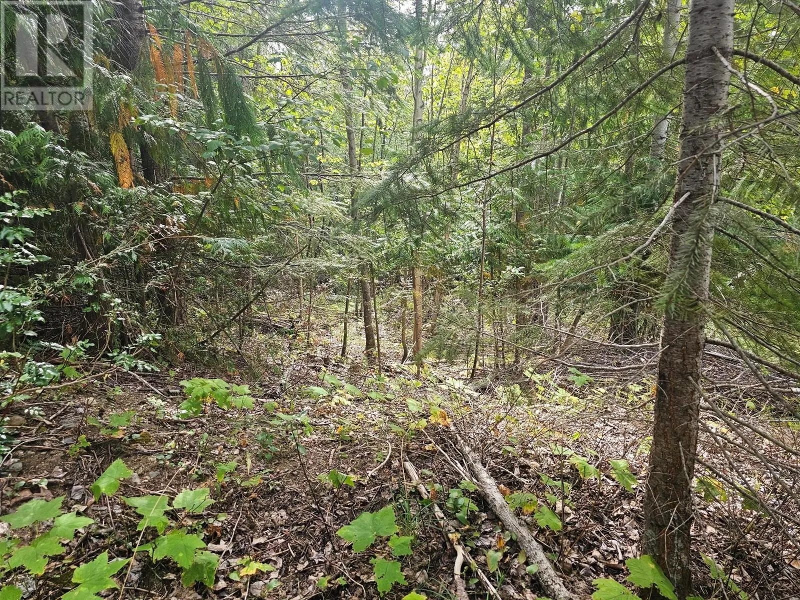 Lot 389 Anglemont Way