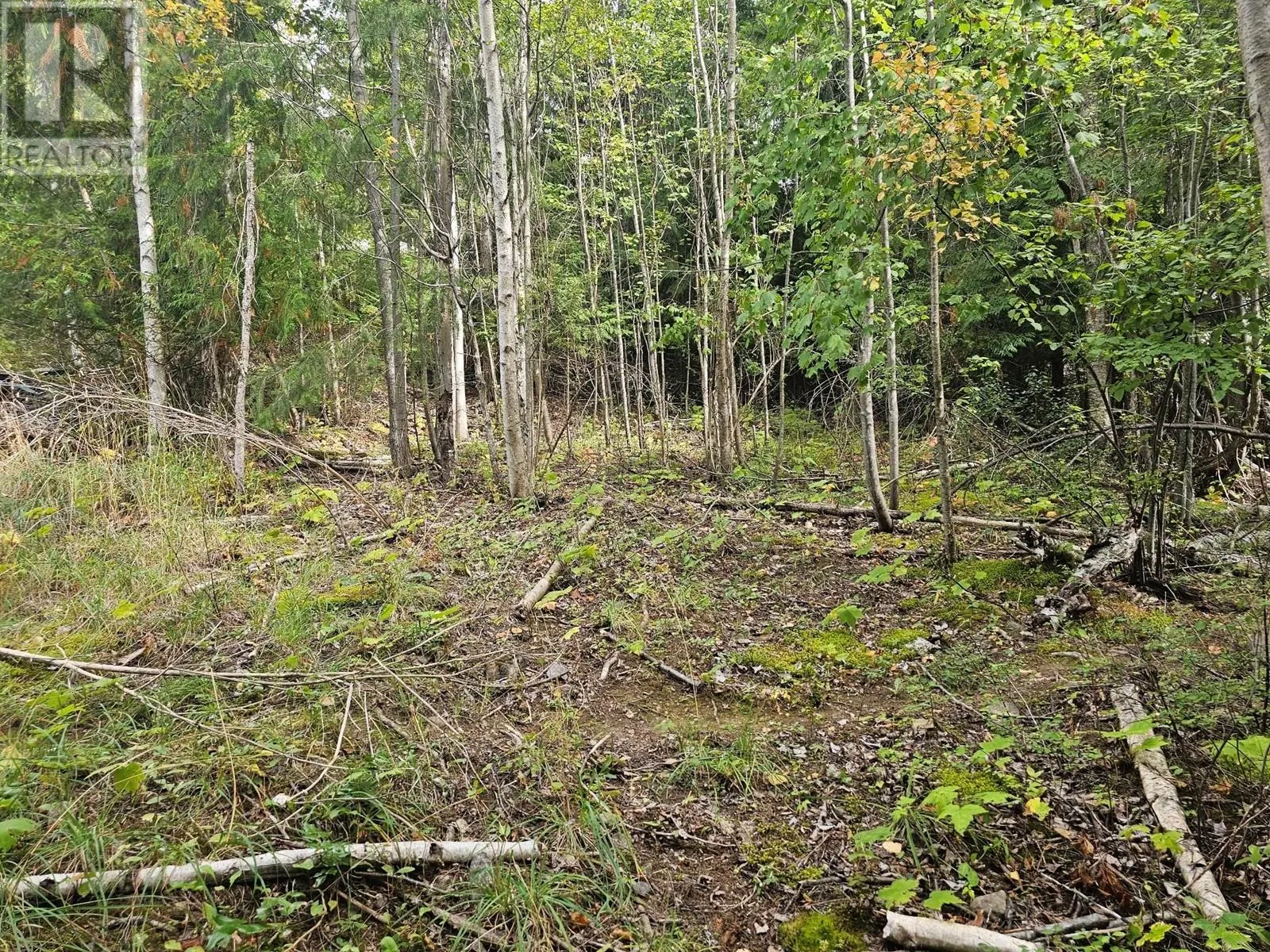 Lot 389 Anglemont Way