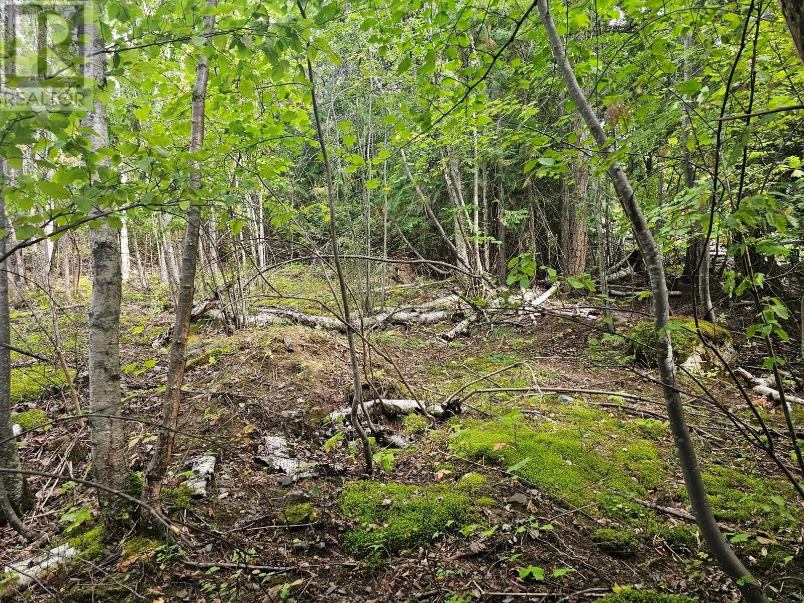 Lot 389 Anglemont Way