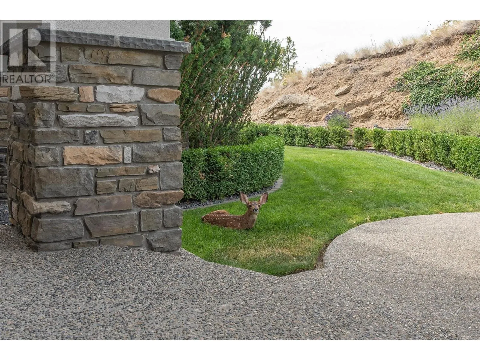 1520 Vineyard Drive