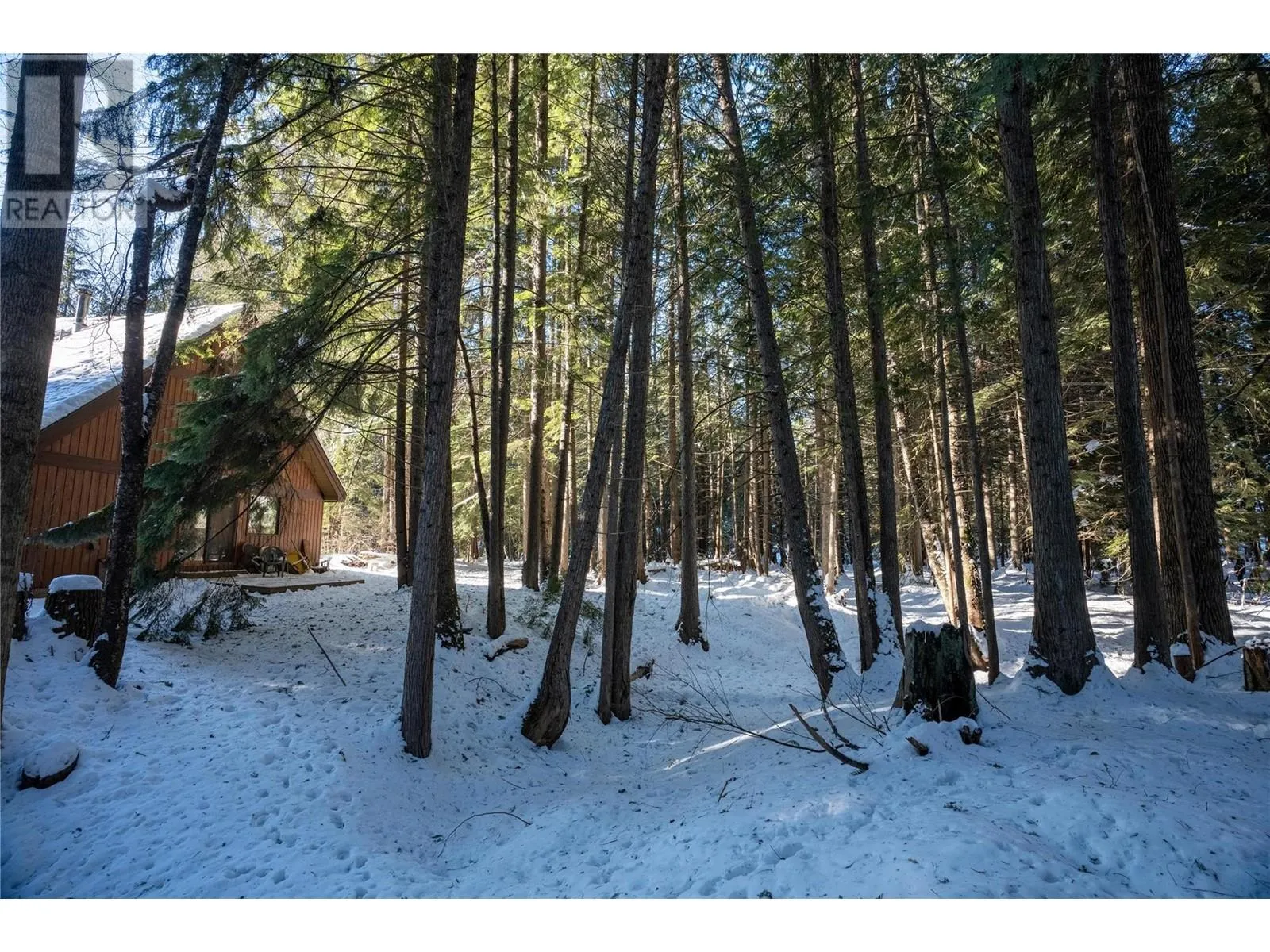 3104 Mcinnes Road