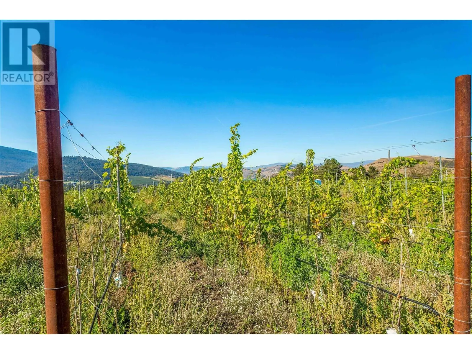 9269 Highway 6