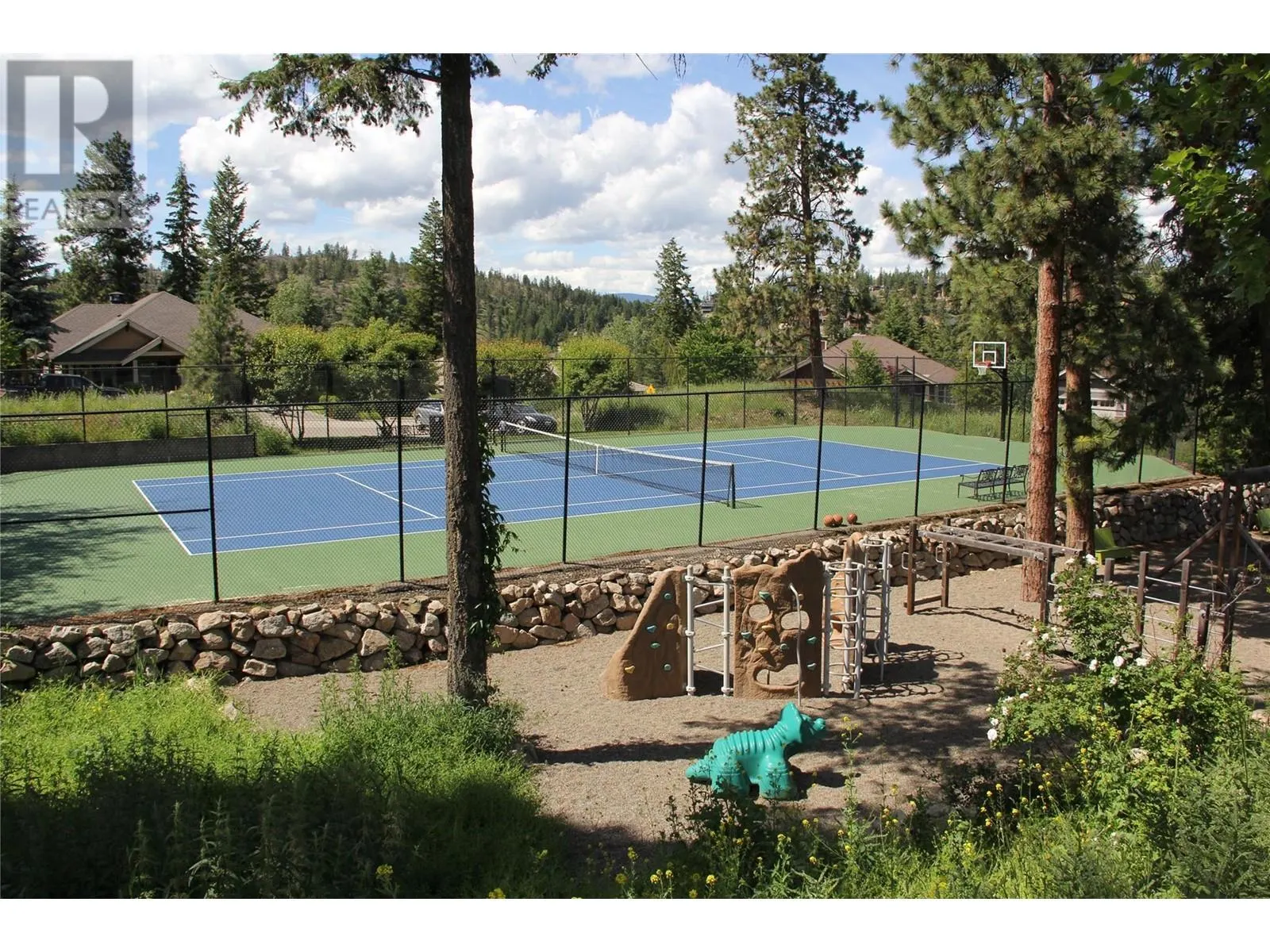 251 Predator Ridge Drive Unit# 12
